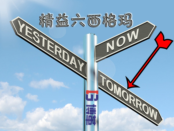 精益六西格瑪管理心得體會(huì) 精益六西格瑪管理心得體會(huì)