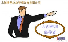 六西格瑪管理中倡導(dǎo)者的職責(zé)是什么？